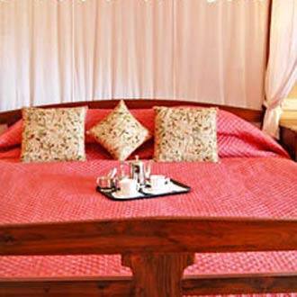 The Baagh - A Forest Retreat, Kanha 2